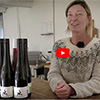 Barfod Vin på Røsnæs dyrker biodynamisk for jordens og kvalitetens skyld