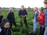 Kursus om biodynamisk dyrkning - for nye og erfarne jordbrugere