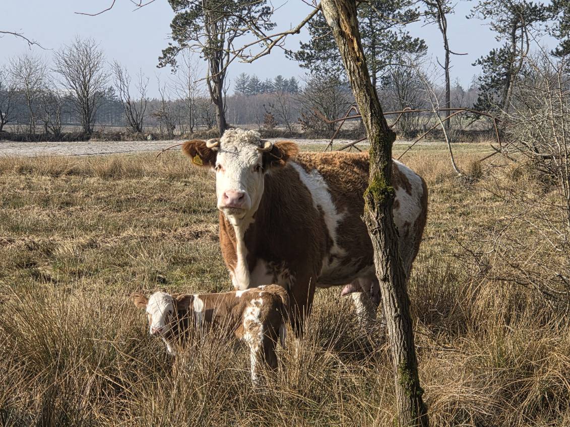 Kontakt Foreningen for Biodynamisk Jordbrug