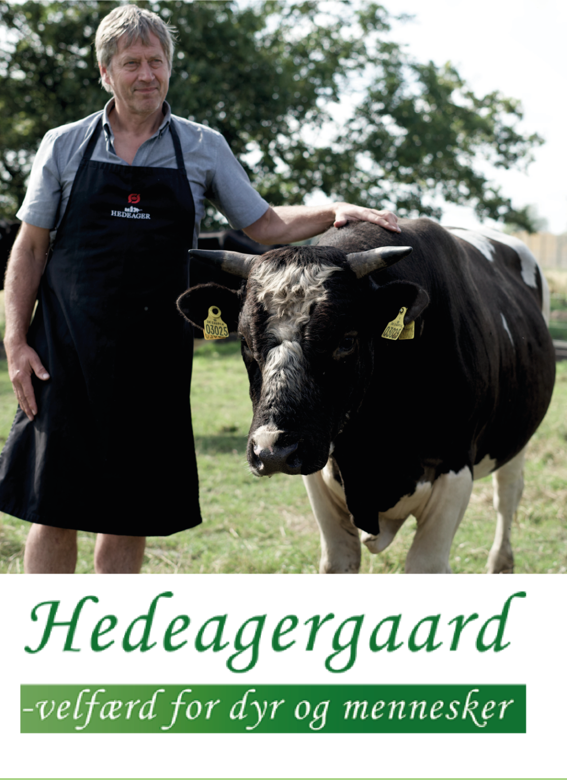 Biodynamisk dyrkning og kødproduktion