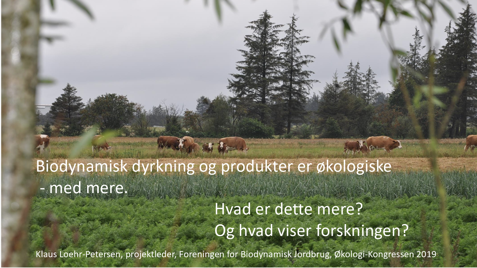 Forskning i biodynamisk dyrkning