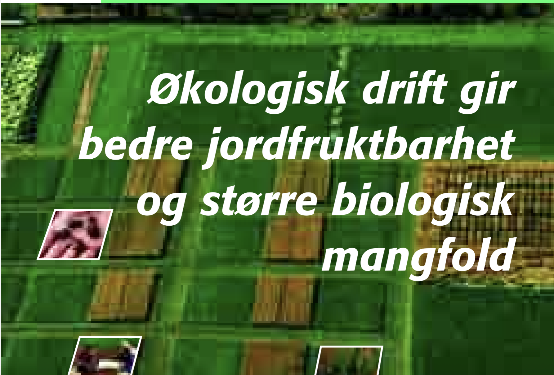 Biodynamisk dyrkning giver mere muld, bedre frugtbarhed og mere liv