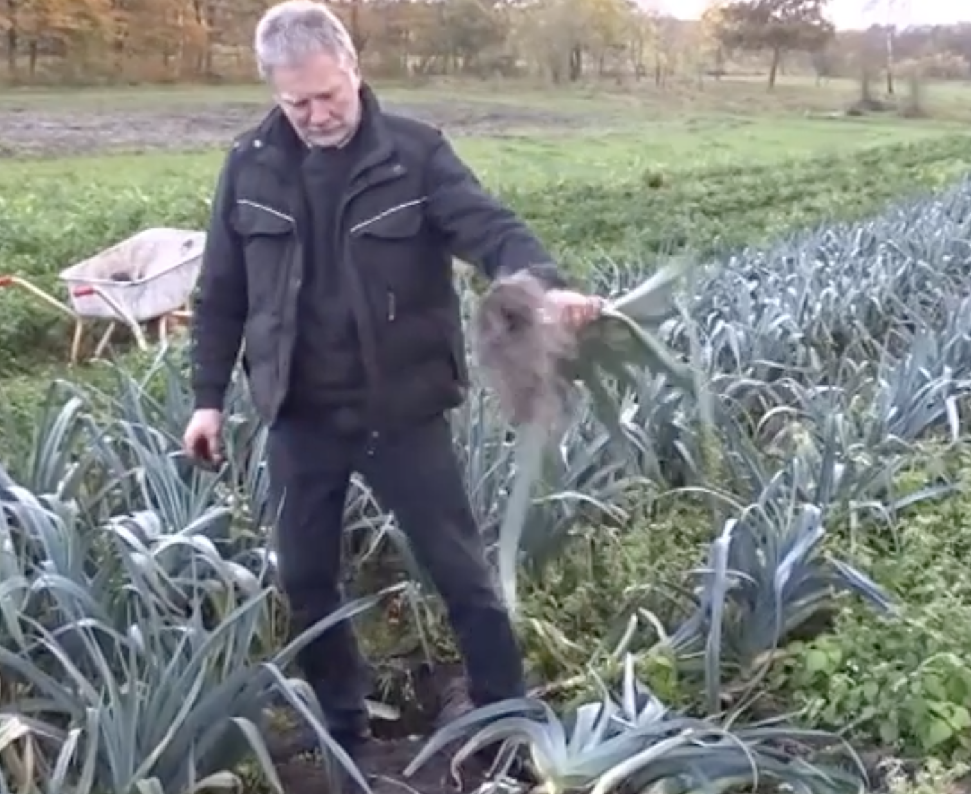 Henning Mikkelsens erfaringer med at forvandle hans ‘håbløse’ sandjord ved Brande til frugtbare marker ved at bruge biodynamisk dyrkningsmetoder
