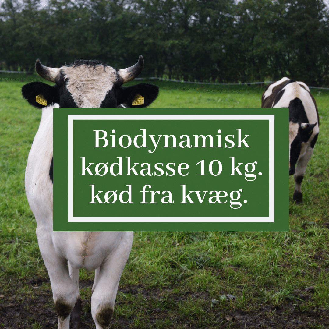 Biodynamiske kødprodukter fra egen gård