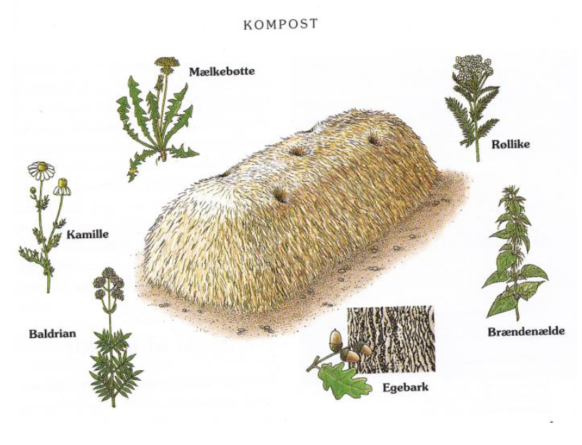 Biodynamisk betyder livskraft.
