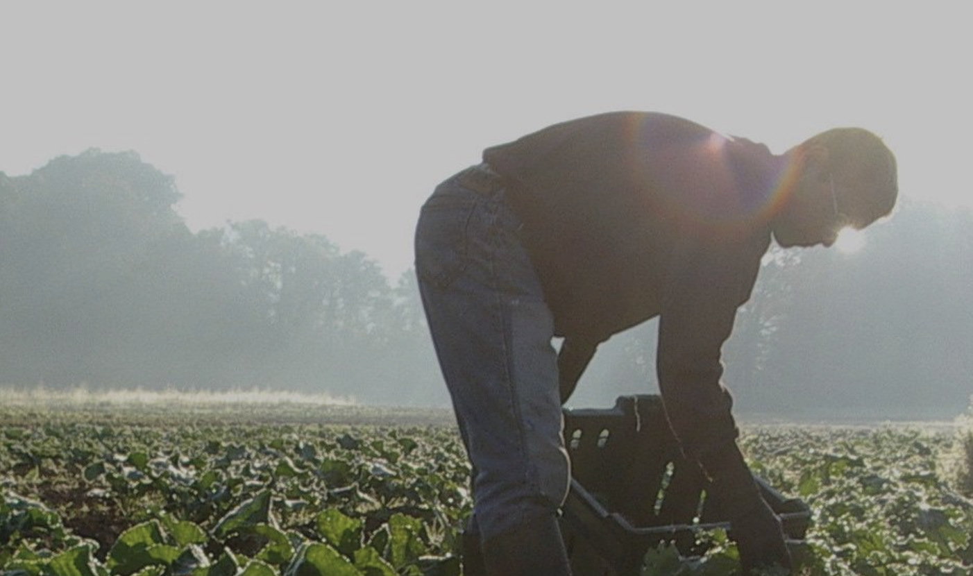 Udsendelse om praktik på biodynamiske jordbrug