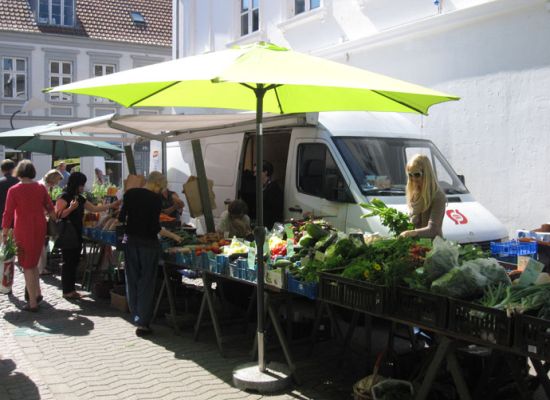 Biodynamiske gr&oslash;ntsager fra R&oslash;dmose Gartneri