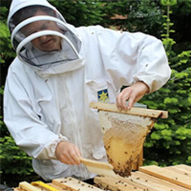 Biodynamisk biavl og havebrug