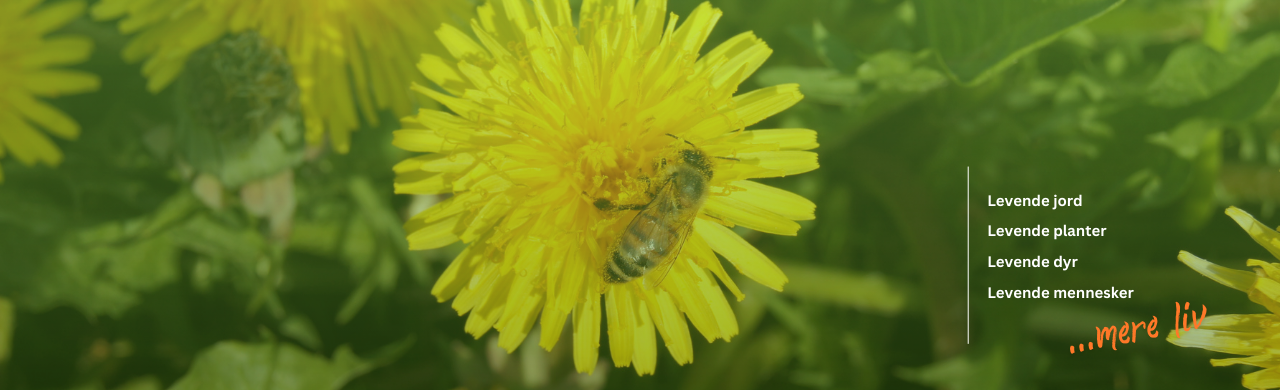 Bliv medlem af biodynamisk forening
